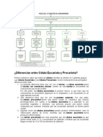 Célula Eucariota y Procariota