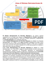 Como Funciona El Sistema Interamericano de Derechos Humanos