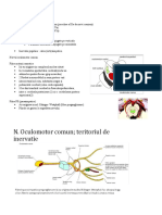 Nervii Oculomotori