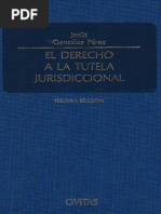 585 Jesús Gonzales Pérez - El Derecho A La Tutela Jurisdiccional