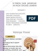 Anfisman Kelenjar Pineal