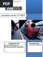 Rapport Des TPs MEF