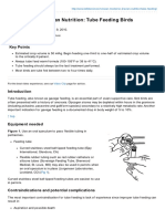 Avian Nutrition Tube Feeding Birds