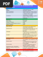 Matriz de Criterios de Segmentación 1