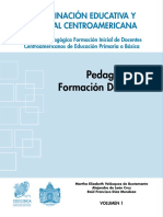 Pedagogia Y Formacion Docente Ceec Sica PDF