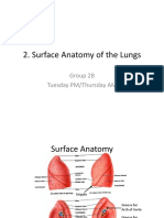 Surface Anatomy Lungs Group 2b