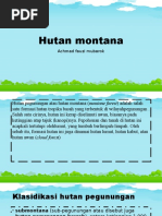 Hutan Montana