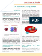 PK Dip Es PDF