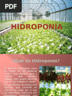 HIDROPONIA