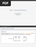 Kronecker PDF