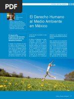 El Derecho Humano Al Medio Ambiente en Mexico PDF