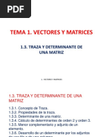 Tema1 3 Traza Determinante