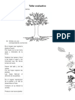 Taller Evaluativo de Las Plantas