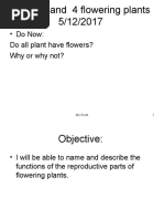 Flowering Plants Powerpoint Class 3 and 4