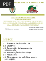 Sistema Productivo PROALCUY - Chachapoyas