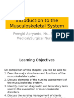 Introduction To The Musculoskeletal System