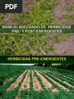 Manejo Herbicidas Pre y Post