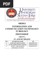 SBI3013 Information and Communication Technology in Biology Photoshop