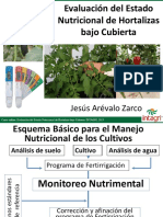 Evaluacion Del Estado Nutricional de Hortalizas en Invernadero PDF