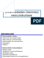 Lesiones Vesiculobulosas