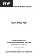 Biomasa de Palma de Aceite Como Materia Prima para La Fabricación de Pellets y Generación de Energías Limpias.