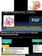 Gastro Protectores