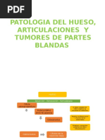 Diapos de Patologia Del Hueso, Articulaciones y Tumores de Partes Blandas