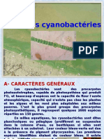 Cours II Cyanobactéries Micro Bio