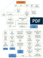 Pathways Kolestasis