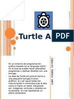 Turtle Art Nuevo Portfolio