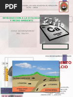 Ciclo Biogeoquímico Del Calcio