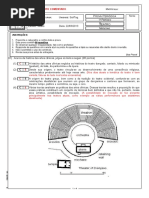 Questões Teatro Grego e Romano (Internet)