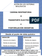 Cadena Respiratoria