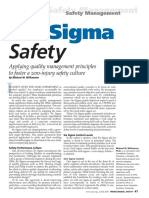 6 Sigma Safety - Williamsen