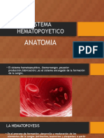 Sistema Hematopoyetico 