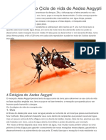 Saiba Como É o Ciclo de Vida Do Aedes Aegypti