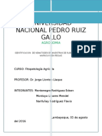 Identificación de Nematodos en Muestras de Suelo Del Cultivo Maracuyá