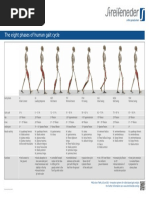 400w43 e Poster Gangphasen Druck PDF