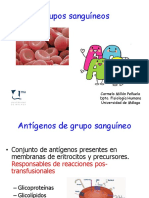 Presentación Práctica Grupos Sanguíneos