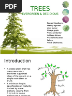 Trees: Evergreen & Decidious