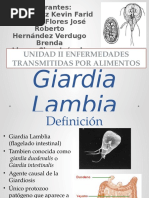 p2 - U2 - Enfermedades Transmitidas Por Alimentos - Giardia Lamblia