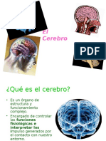 Cerebro