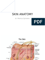 Skin Anatomy