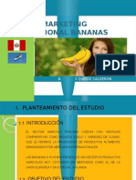 Plan Marketing HOLANDA