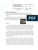 Acara 2 Endapan Mineral Magmatik