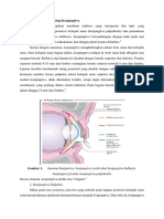 Anatomi Dan Fisiologi Konjungtiva