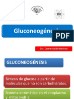 Gluconeogenesis