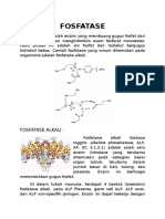 FOSFATASE