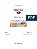 Enfoque Transcultural