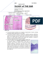 Histology of The Ear